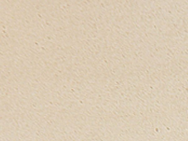 Aciker Plus Natural Anti-Slip Tile 12.5x25 – Cell Texture R12